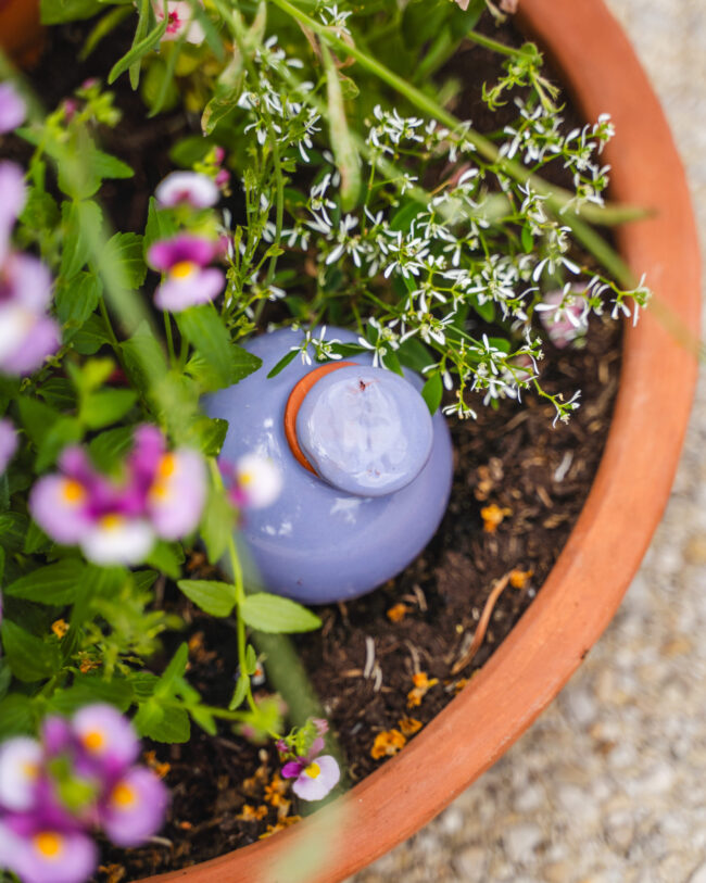 Olla en terre cuite émaillée 30cl violet, pot en terre cuite naturelle, plante