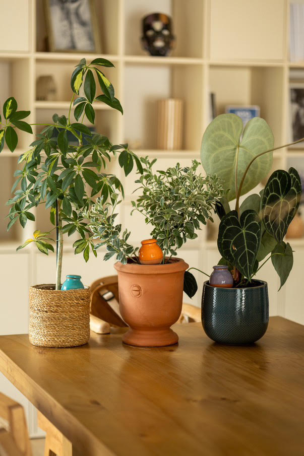 Poterie-Tuilerie d'Amance